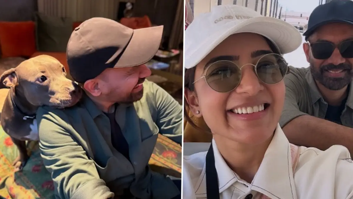 Description of the pic