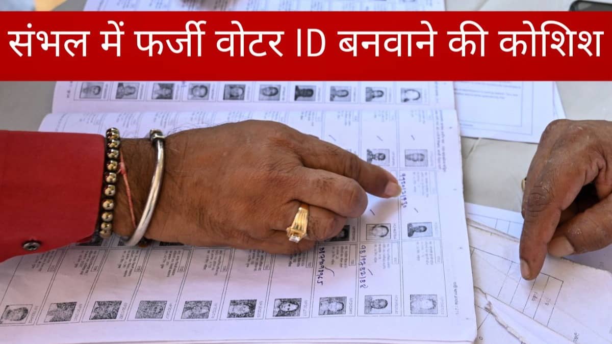 Sambhal fake Voter ID