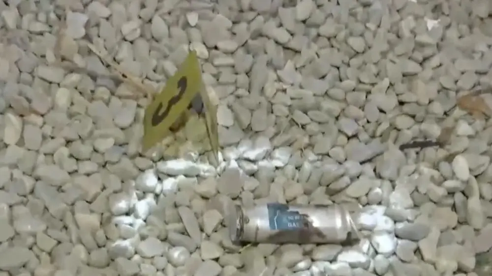 Sambhal violence, pakistan, use made bullets, Uttar Pradesh