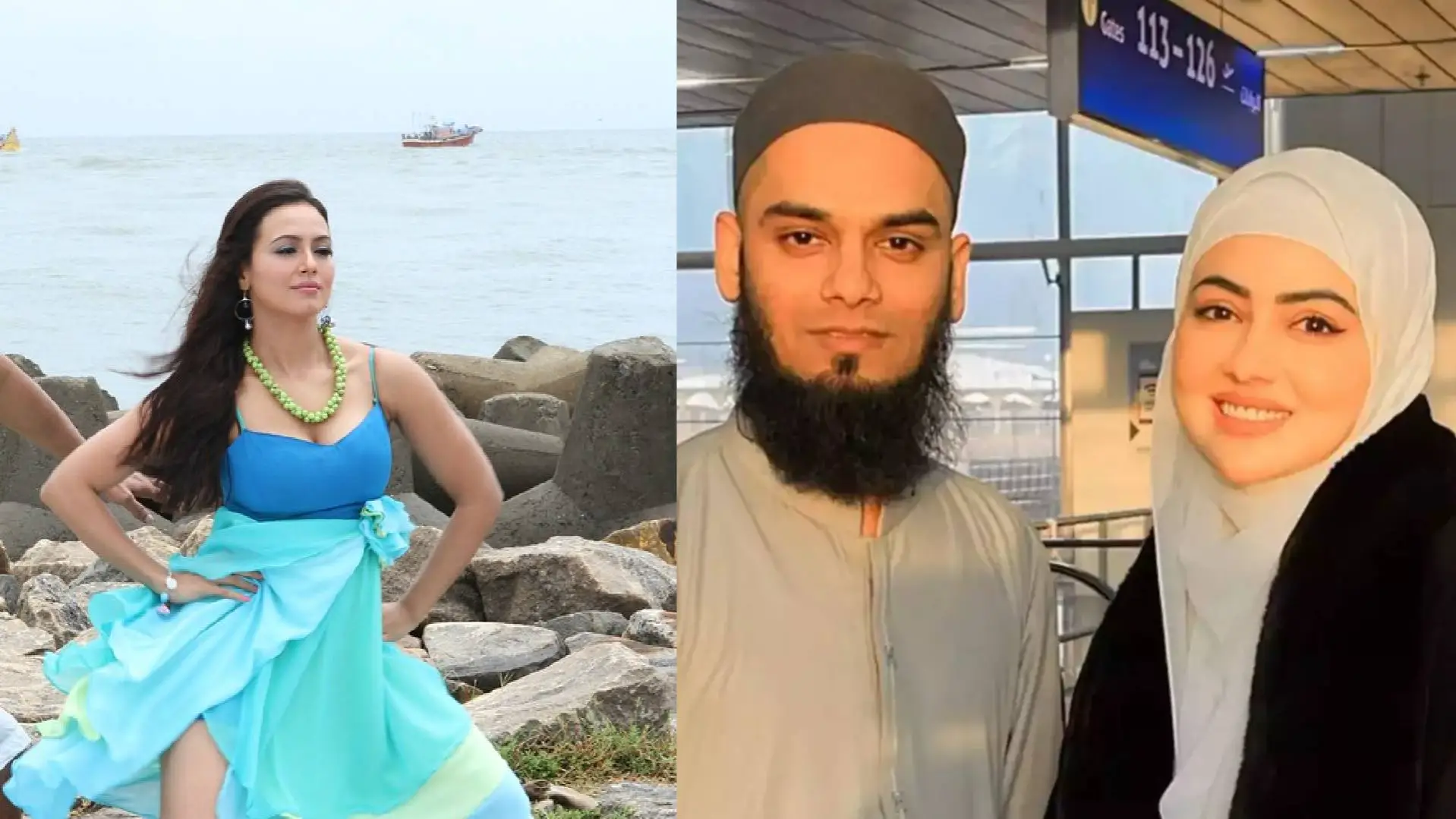 Description of the pic