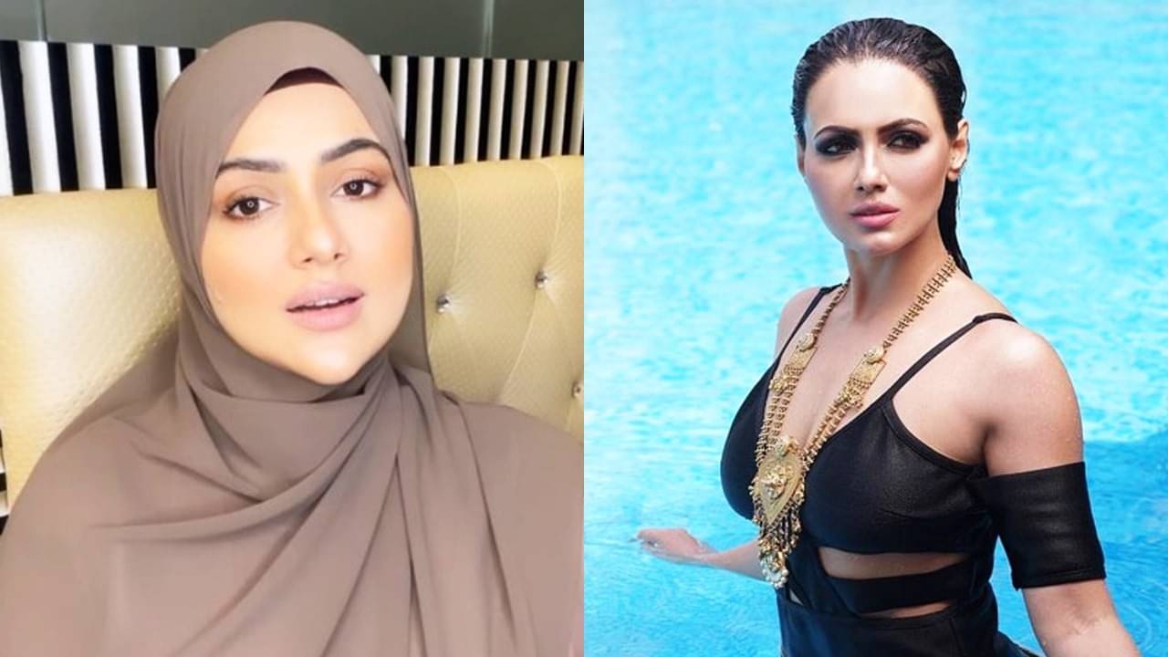 Description of the pic