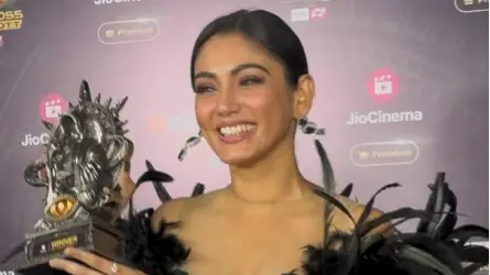 Description of the pic