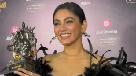 Description of the pic