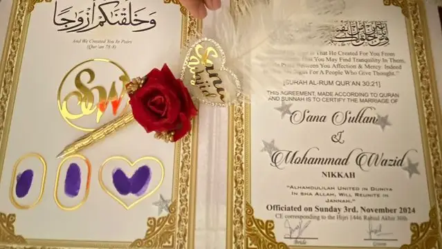 Description of the pic