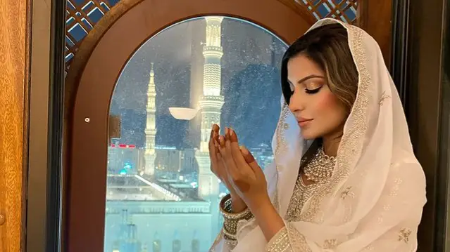 Description of the pic