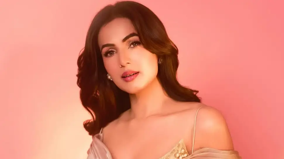 Description of the pic