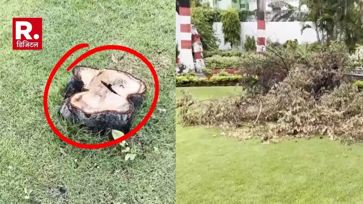 Sandalwood tree stolen from KGMU Vice Chancellor residence
