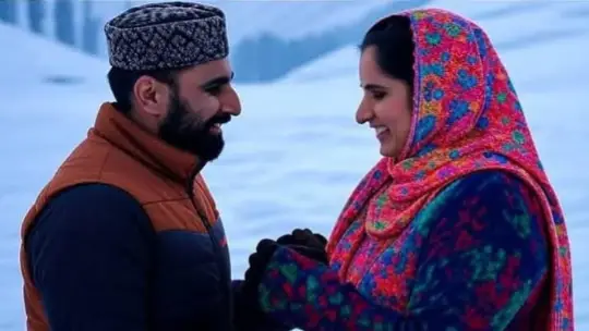 Description of the pic