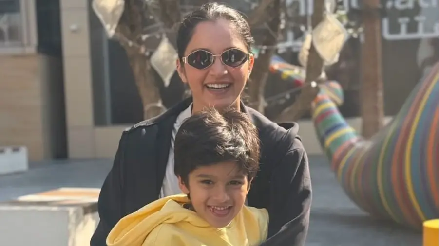 Description of the pic