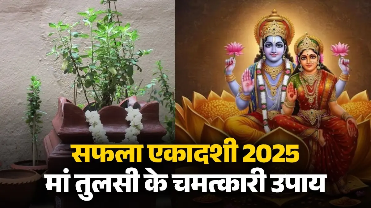 saphala Ekadashi 2025 maa tulsi ke upay astrology tips for lord Vishnu brings prosperity and happiness in life