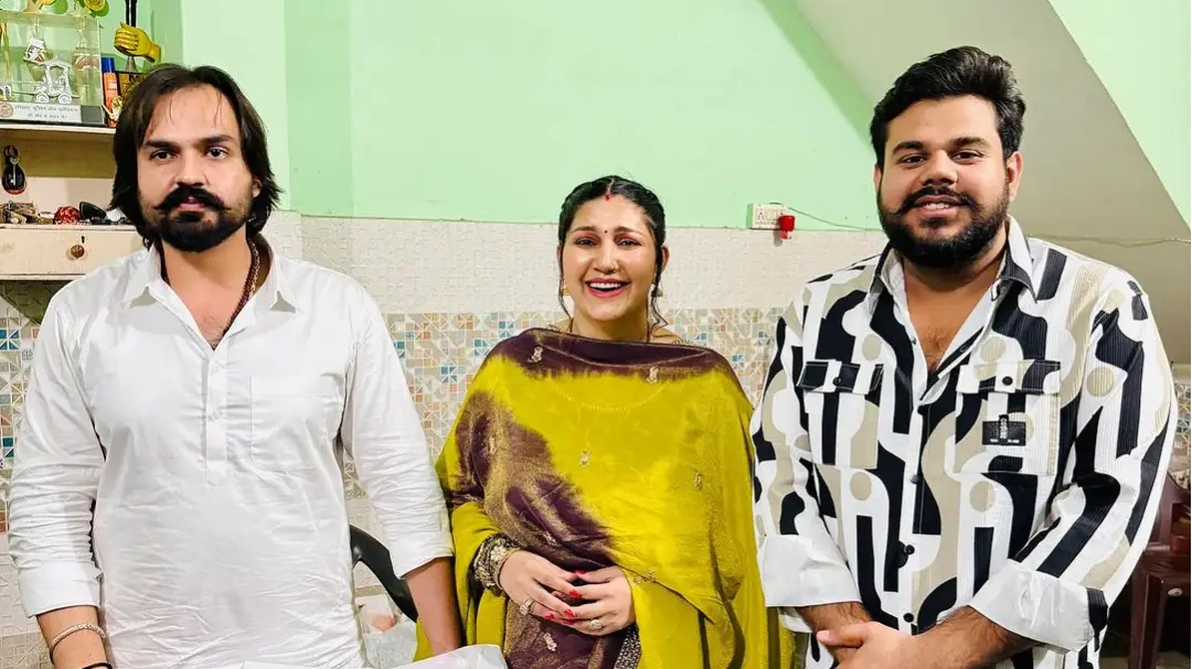 Description of the pic