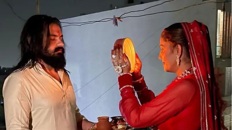 Description of the pic