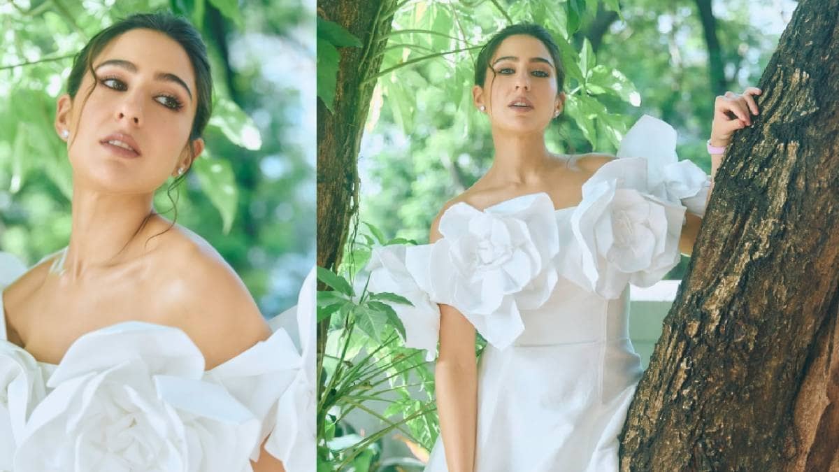 Description of the pic