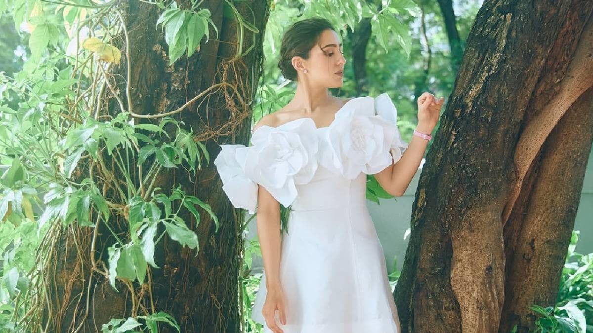 Description of the pic