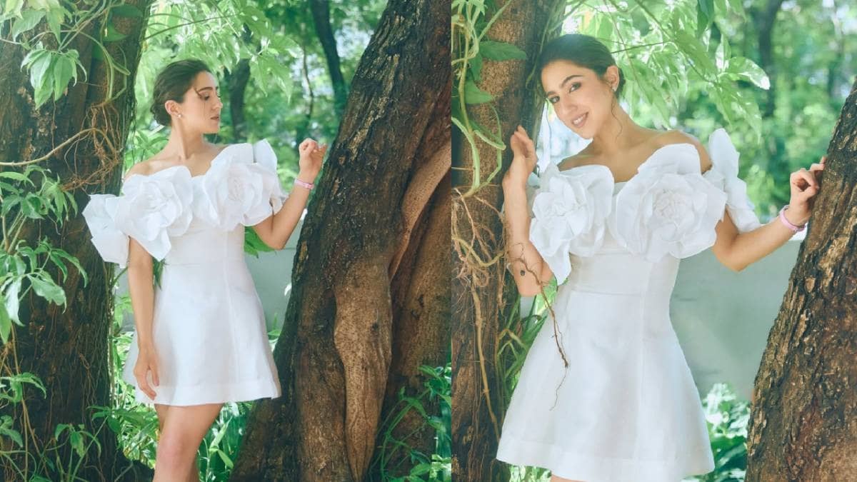 Description of the pic