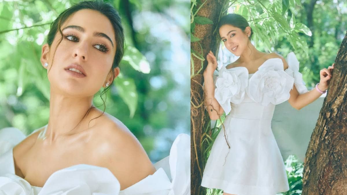 Description of the pic