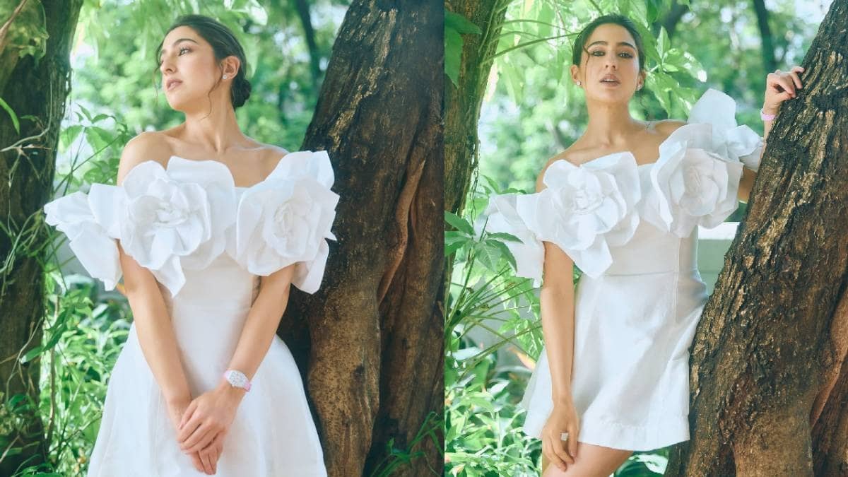 Description of the pic