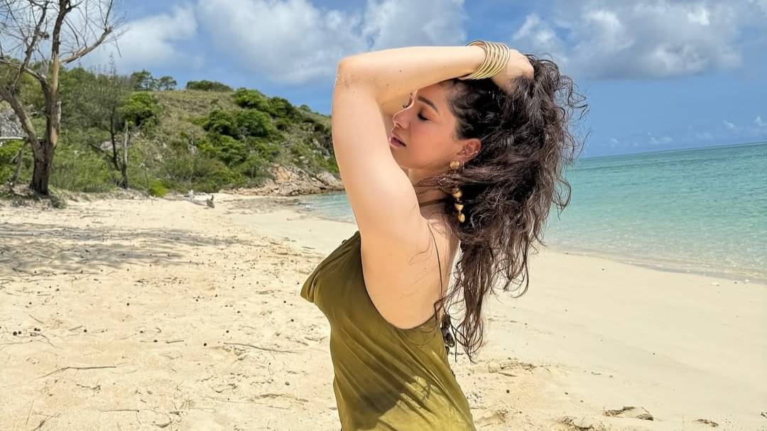 Description of the pic