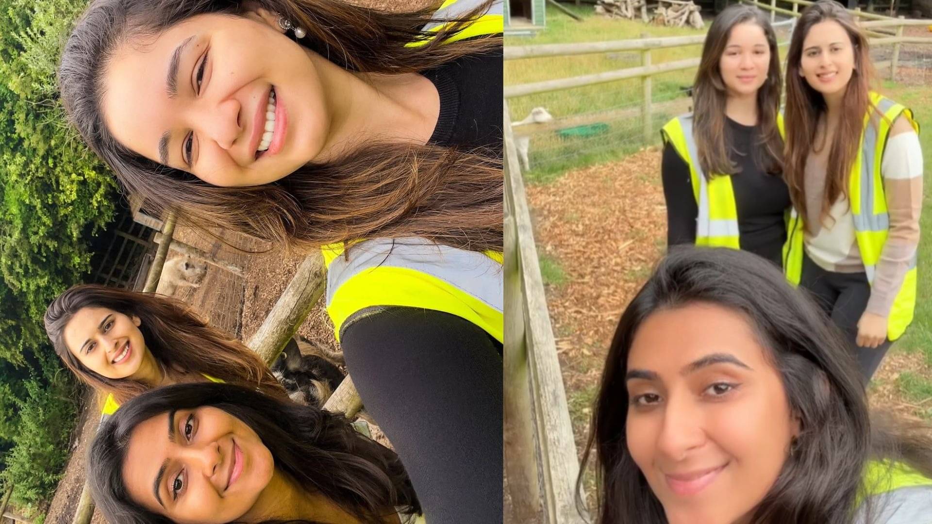 Description of the pic