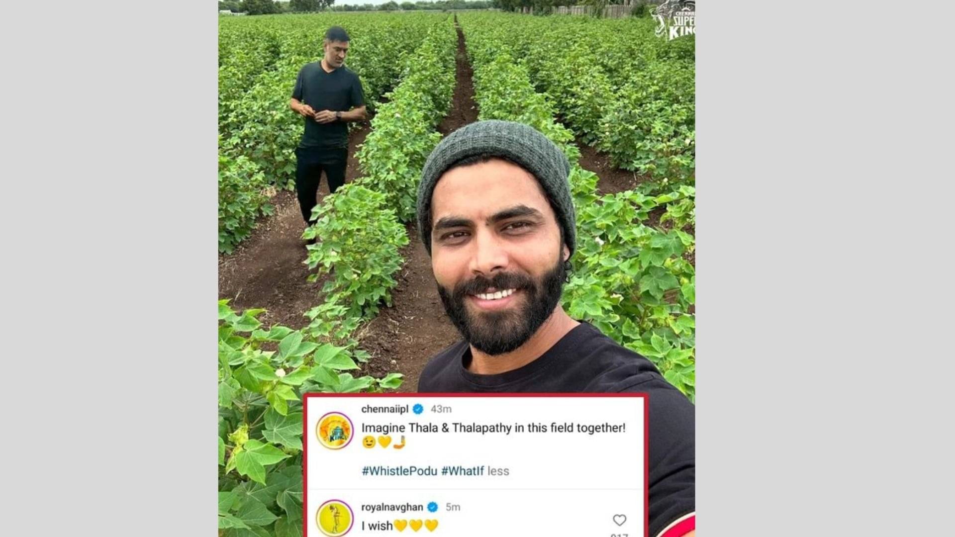 Description of the pic