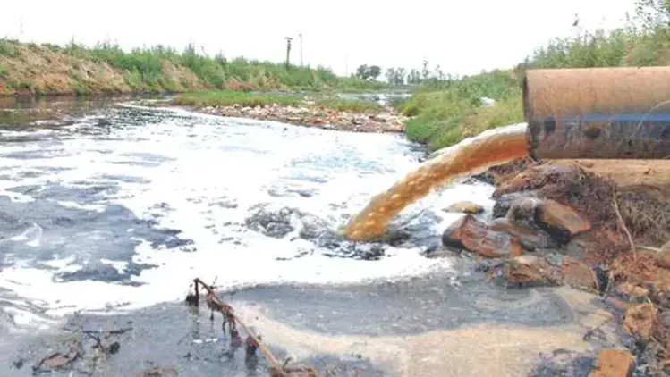 SC pulls up Tamil Nadu Govt over dumping of tanneries in Palar River