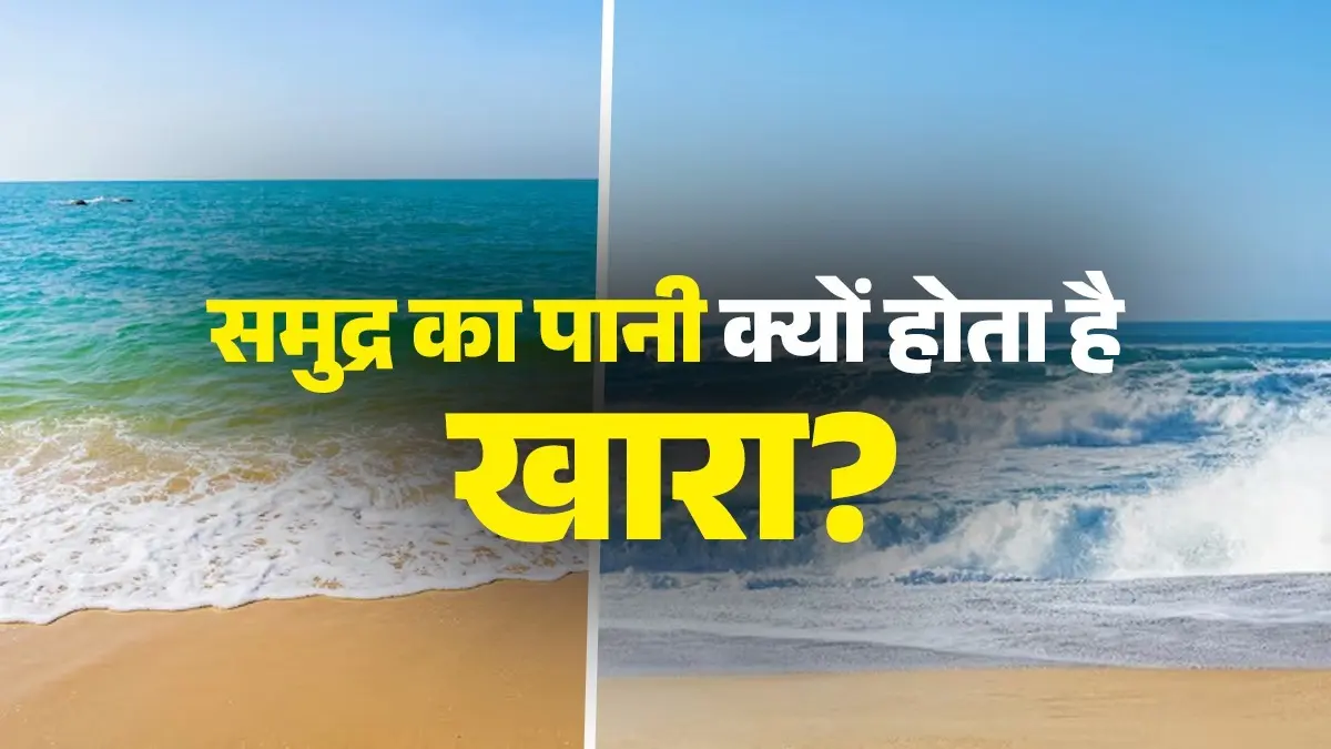 Sea Water Salty: समुद्र का पानी खारा क्यों होता है? क्या जानते हैं आप इसका कारण Sea Water Salty