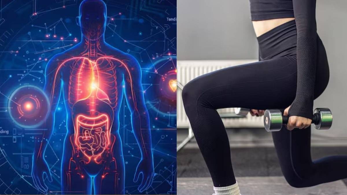 Second Heart in Human Body