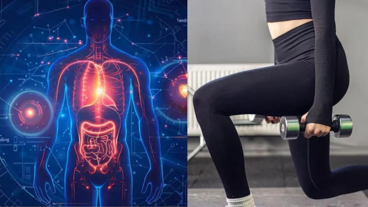 Second Heart in Human Body