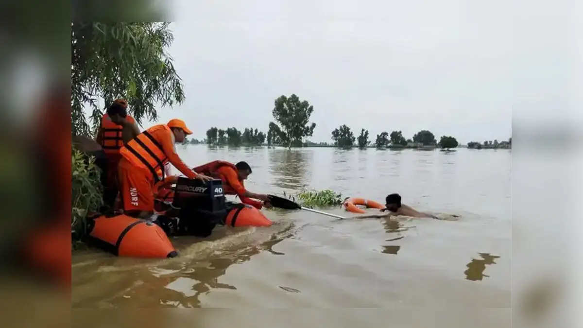 Severe Flooding Grips Punjab, State Government Reports 37 Dead
