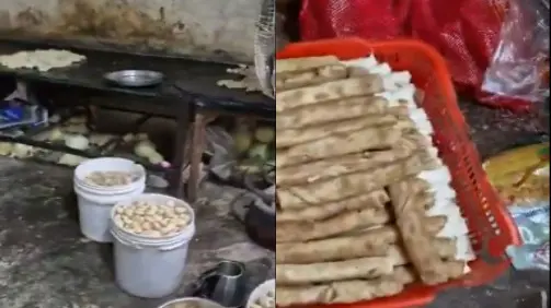 Severed Dog's Head In Fridge: Shocking Discovery In Mohali's Momos Factory Raid