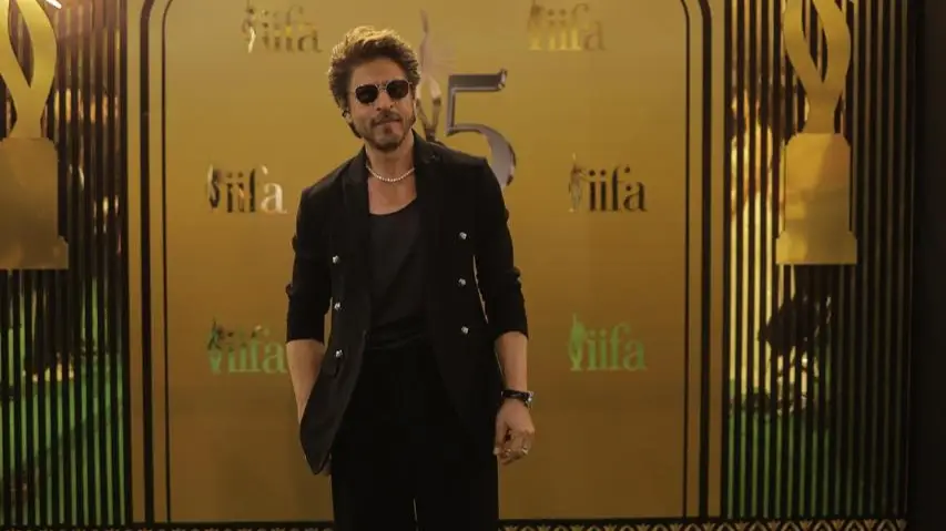 Description of the pic