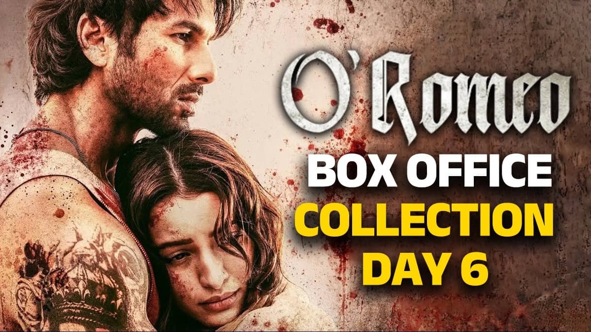 O'Romeo Box Office Collection: बजट के कितने करीब पहुंची शाहिद की 'ओ रोमियो'? जानें बुधवार का कुल कलेक्शन