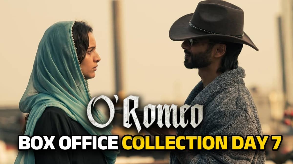O'Romeo Box Office Collection Day 7: कम नहीं हो रहा शाहिद की 'ओ रोमियो' का फीवर, 7वें दिन अपनी ही फिल्मों को दिया पछाड़; जानें कुल कलेक्शन