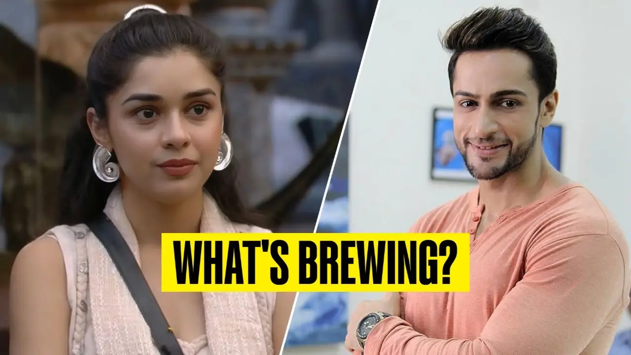 Bigg Boss 18: Shalin Bhanot Breaks Silence On Rumoured Affair With Eisha Singh, Calls It 'Character Assassination' Shalin Bhanot Slams Eisha Singh's Trollers