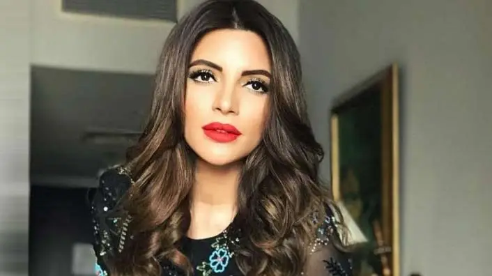 Description of the pic