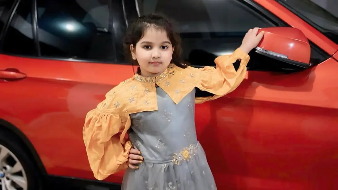 Description of the pic