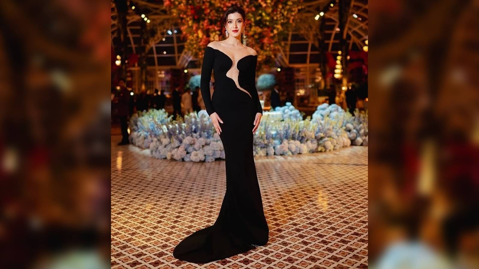 Description of the pic