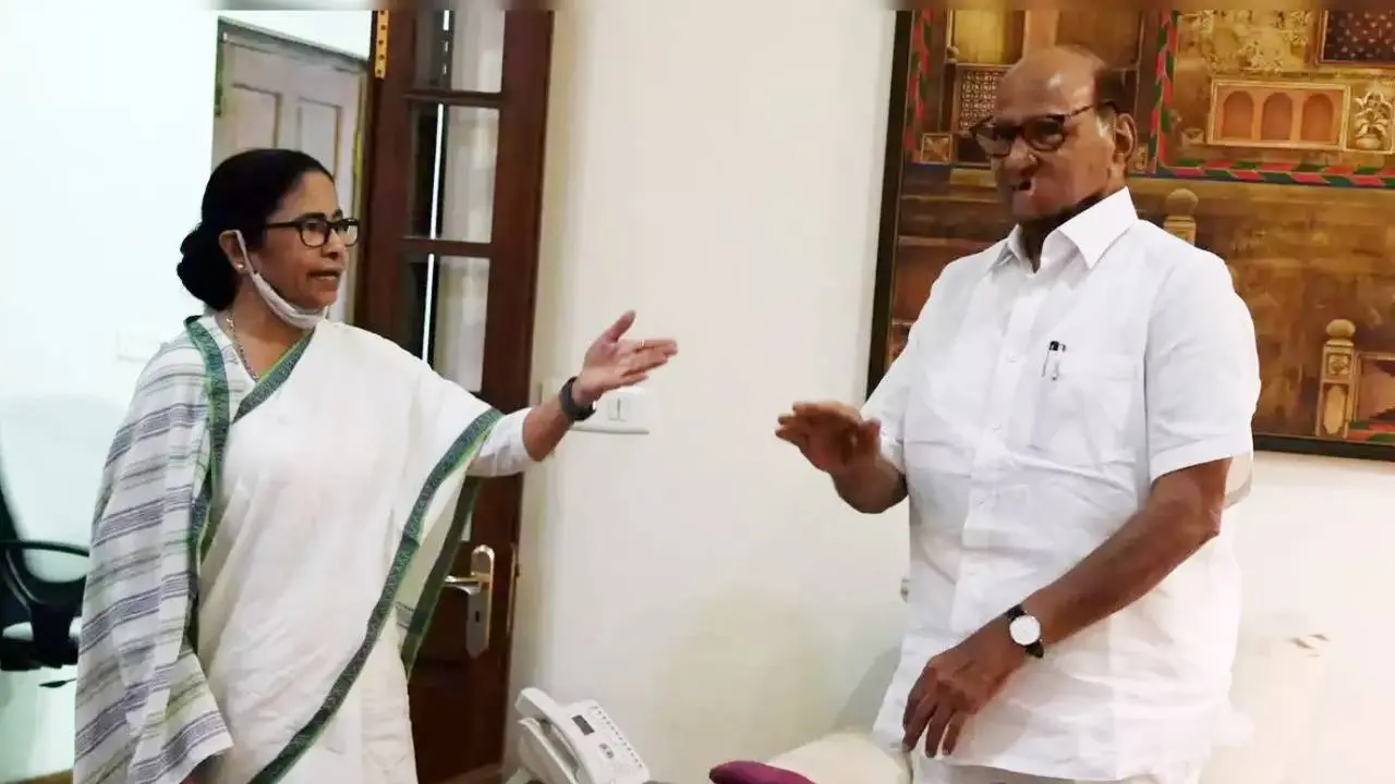 कांग्रेस का खेल खत्म, न चलेगी INDI में धोंस! महाराष्ट्र हारते ही शरद पवार ने दिया ममता को समर्थन Sharad Pawar acknowledged the leadership potential of Mamata Banerjee