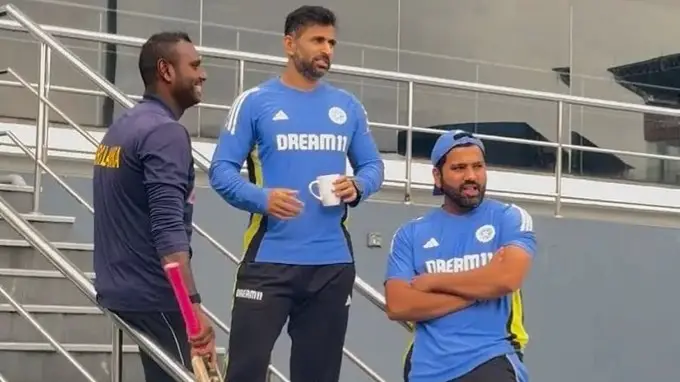 Description of the pic