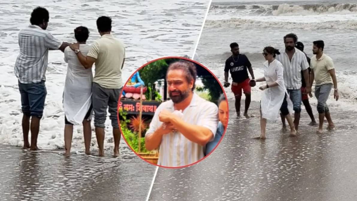 Description of the pic