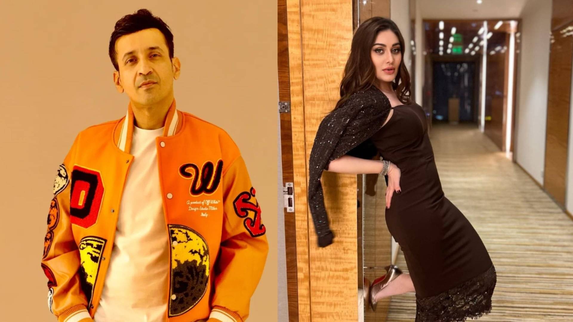 Description of the pic