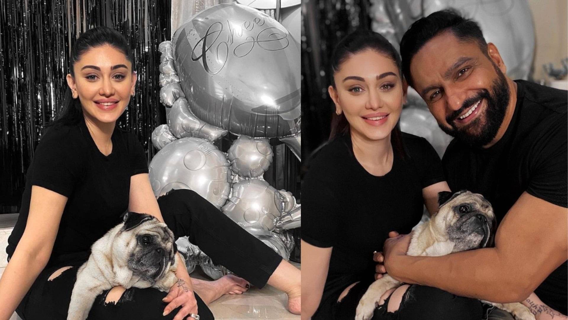 Description of the pic