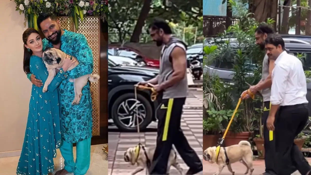 Shefali Jariwala- Parag Tyagi