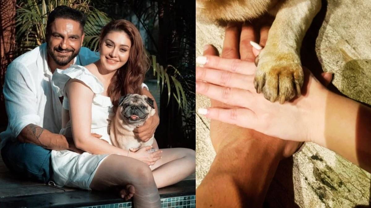 Description of the pic