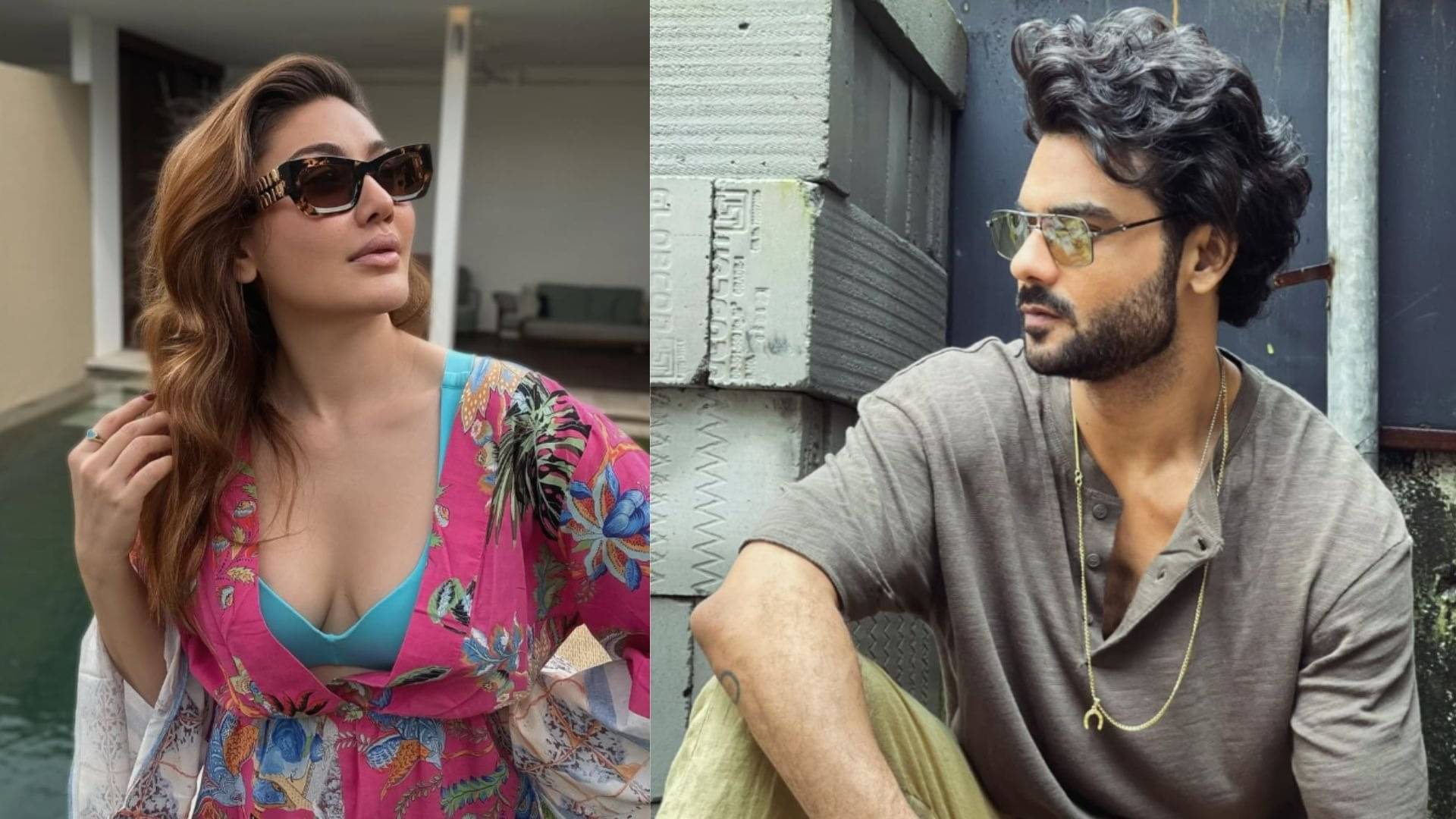 Description of the pic