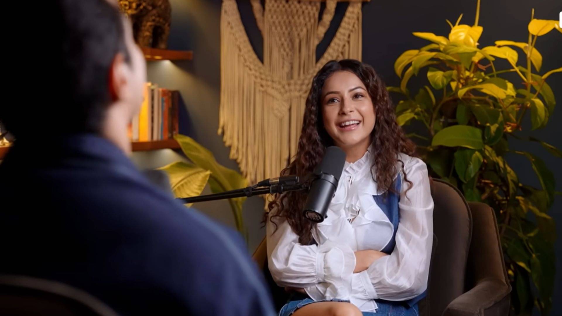 Description of the pic