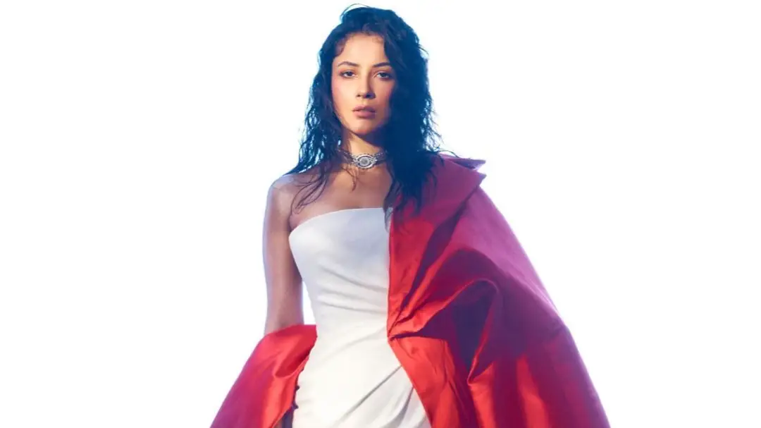 Description of the pic