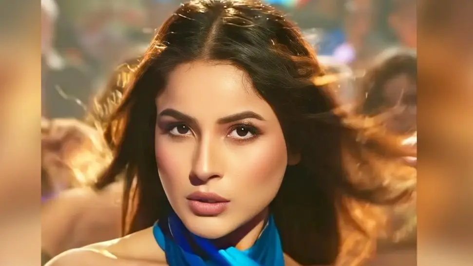 Description of the pic