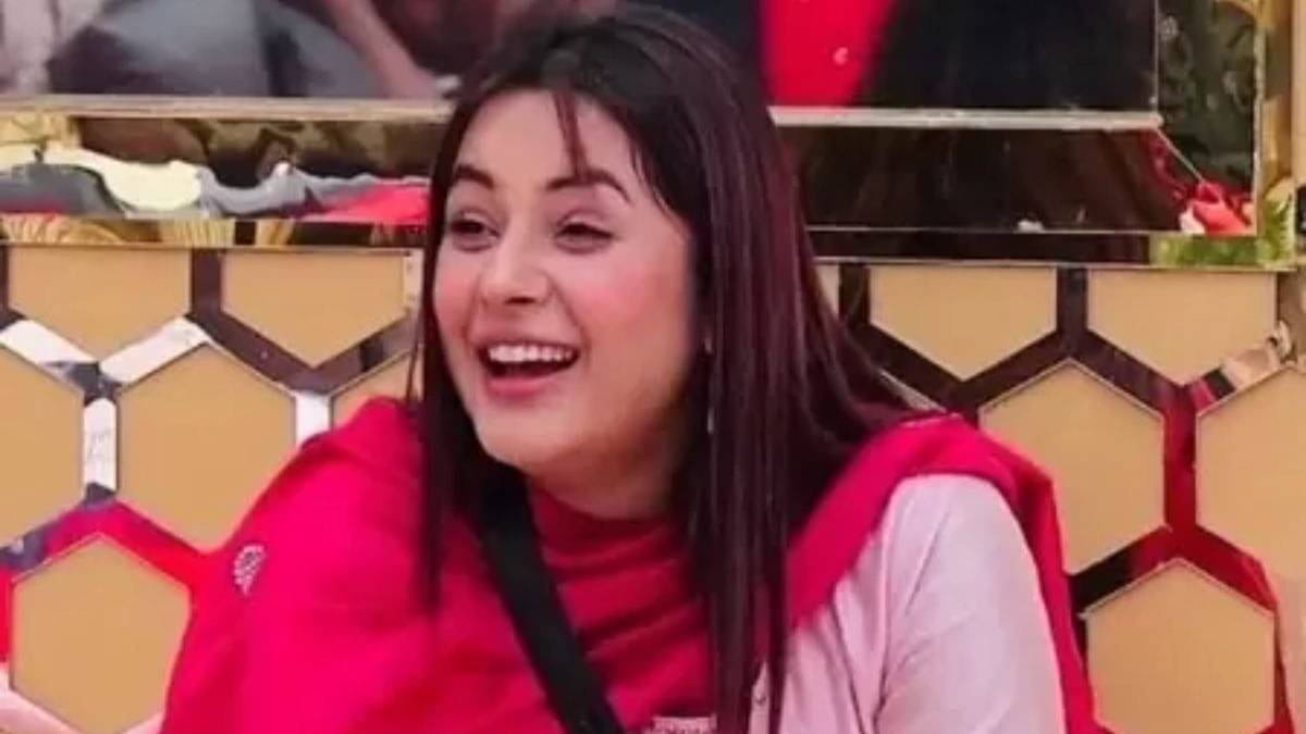 Description of the pic