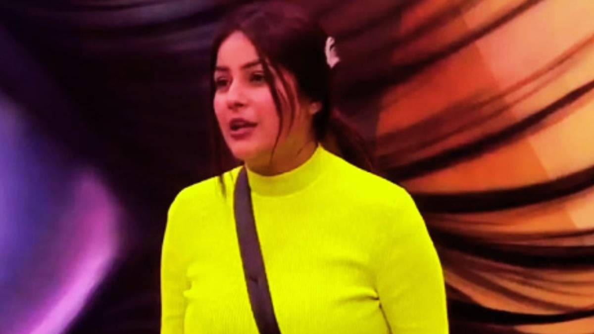 Description of the pic